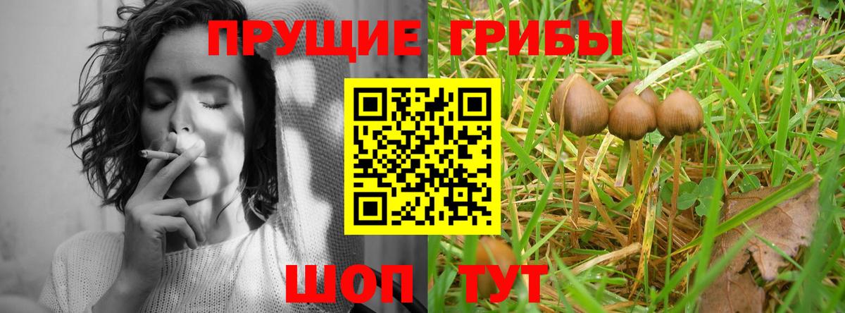 Альфа ПВП Семилуки